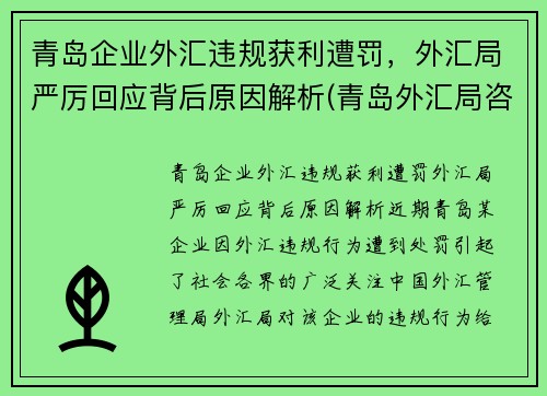 青岛企业外汇违规获利遭罚，外汇局严厉回应背后原因解析(青岛外汇局咨询电话)