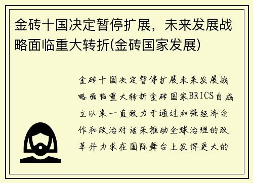 金砖十国决定暂停扩展，未来发展战略面临重大转折(金砖国家发展)